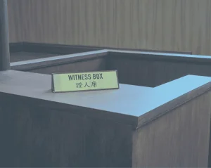 What are the 5 Es Every Attorney should look for in a Expert Witness? 